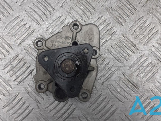 Водяний насос 251002GTA0 HYUNDAI