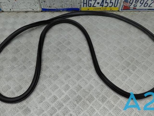Прокладка дверей передніх, лівих (на кузові) 3CN867911A5AP VAG