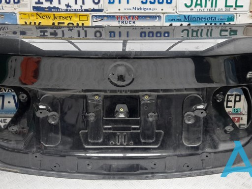 Двері багажника 41007238429 BMW