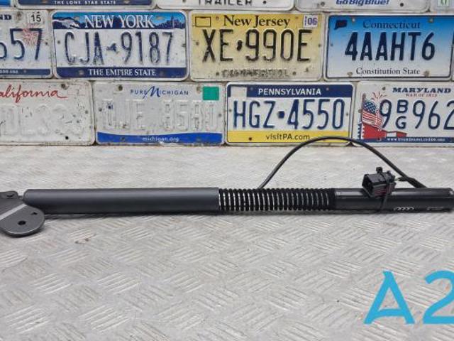 Амортизатор задньої ляди 4G8827852F VAG