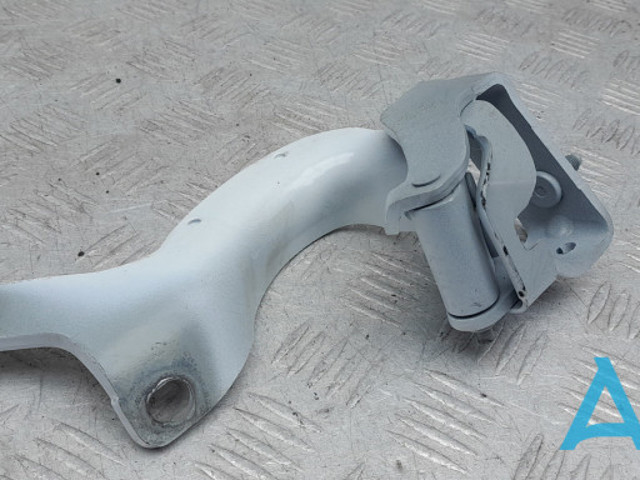 Петля задніх багажних, 3/5 -х дверей 4L0827299C VAG