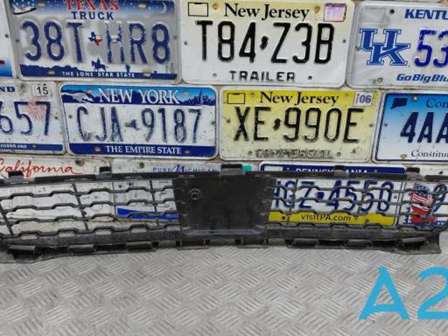 Решітка переднього бампера, центральна 51118061124 BMW