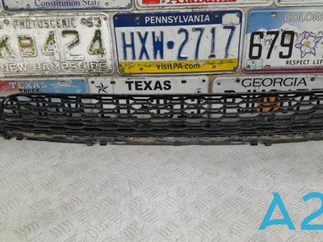 Решітка переднього бампера, центральна 51118064930 BMW