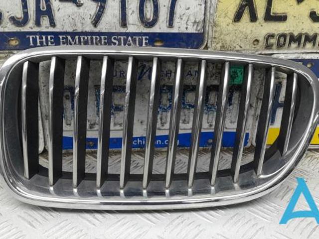 Решітка радіатора ліва 51137203649 BMW
