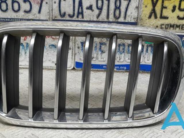 Решітка радіатора ліва 51137316061 BMW