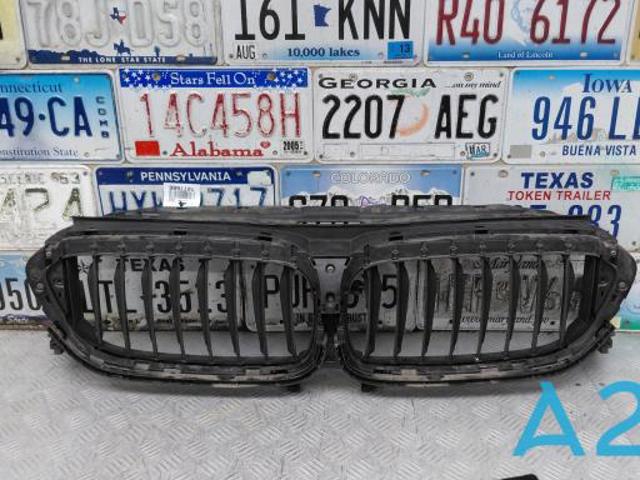 Захисна решітка радіатора 51137497280 BMW