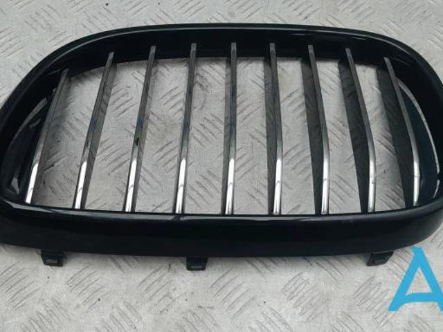 Захисна решітка радіатора 51138065539 BMW