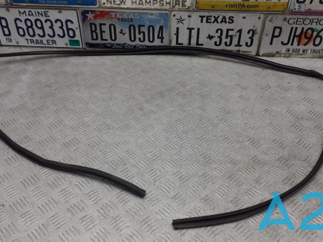 Рама лобового скла 51317307896 BMW