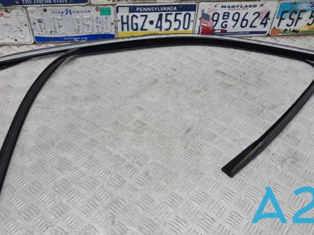 Направляюча скла рамки двері, переднього ліва 51337289617 BMW
