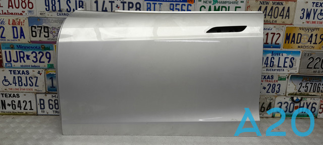 Двері передні, ліві 6006662E0H TESLA