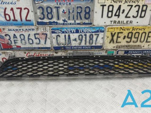 Решітка переднього бампера, центральна 622545NA0A NISSAN