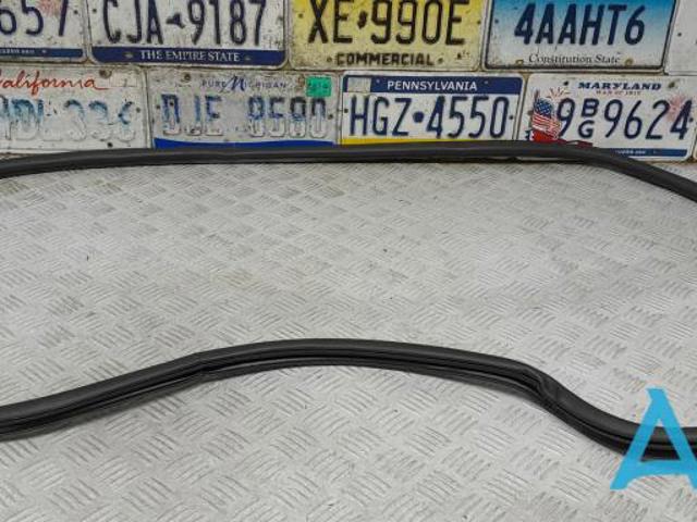 Ущільнювач дверей передніх, на (кузові) 68225187AA CHRYSLER
