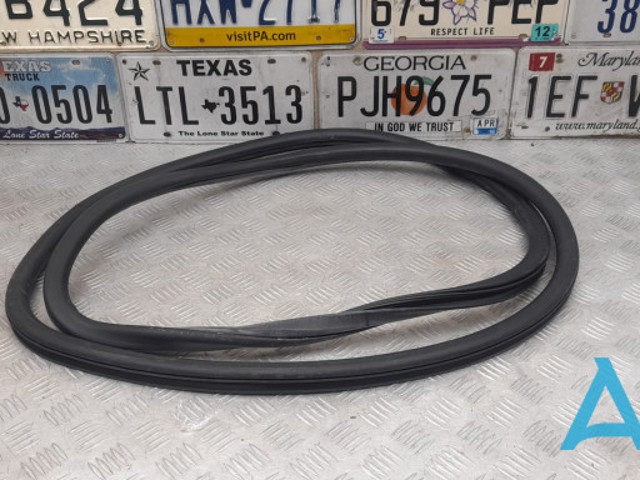 Ущільнювач дверей передніх, на (кузові) 68225187AA CHRYSLER