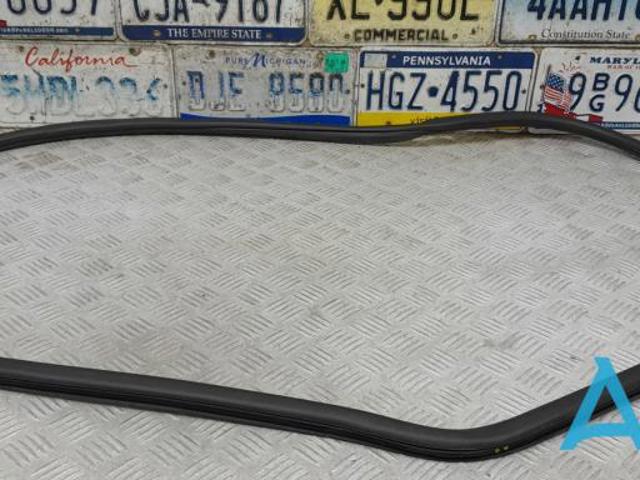 Прокладка дверей задніх, (на двері) 68225188AA CHRYSLER