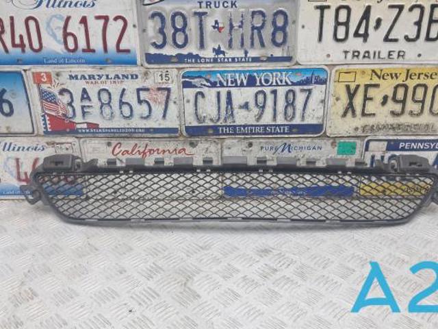 Решітка переднього бампера, центральна A2058850423 MERCEDES