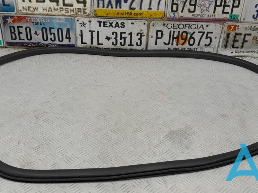 Ущільнювач двері задньої (на кузові) EJ7Z78253A10A FORD