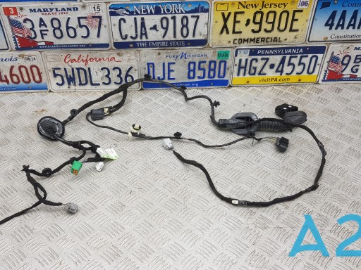 Джгут проводів задніх дверей F2GZ14630H FORD