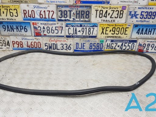 Ущільнювач двері задньої (на кузові) FT4Z58253A10B FORD