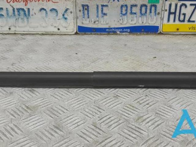 Амортизатор задньої ляди FT4Z58406A10B FORD