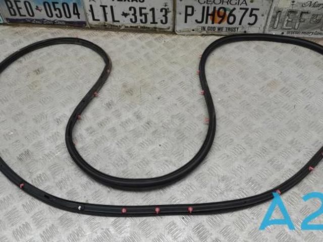 Ущільнювач двері задньої лівої (на двері) LB5Z7825325A FORD