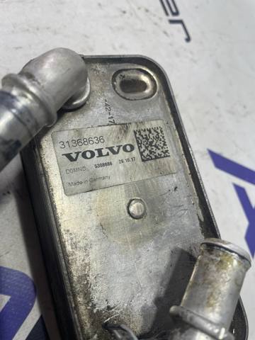 Радіатор масляний 31368636 VOLVO