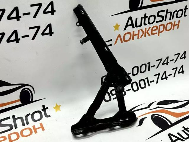 Завіса капота права 102928599D TESLA