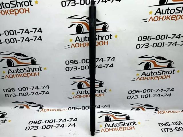 Амортизатор ляди 106566900A TESLA