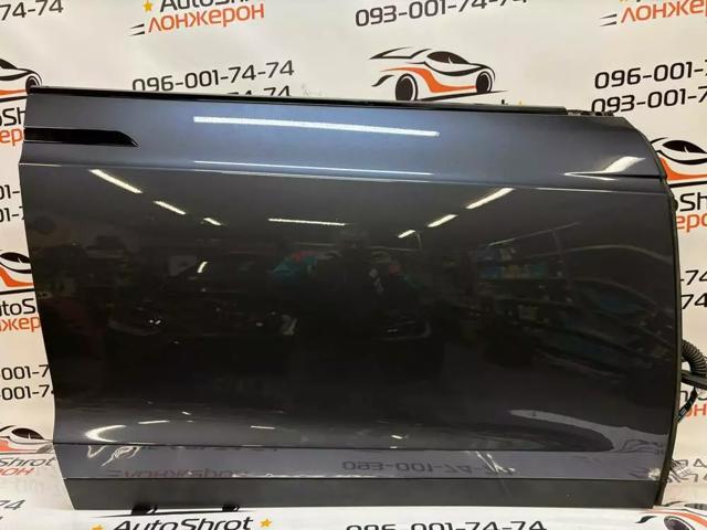 Пасажирські передні двері 1069536E0C TESLA