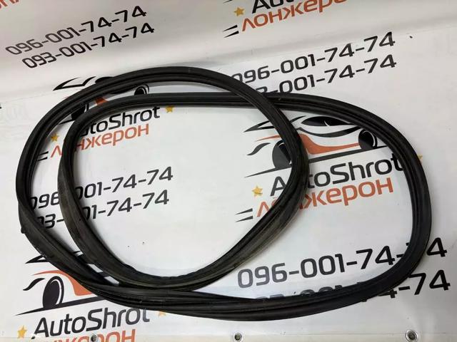 Ущільнювач дверей задніх, (на кузові) 31662570 VOLVO