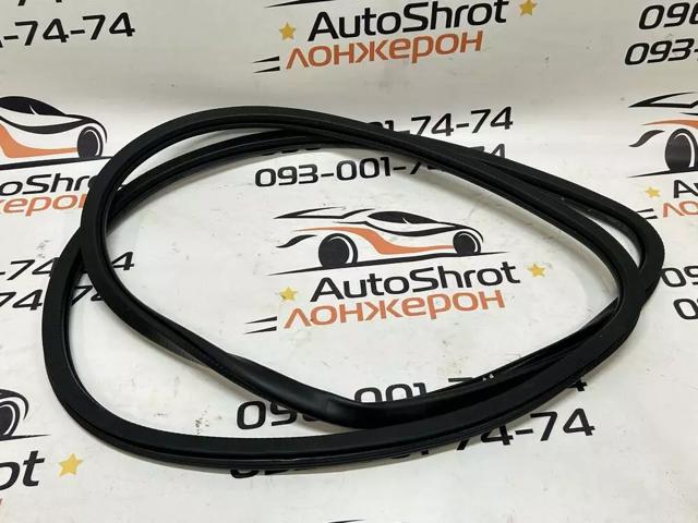 Ущільнювач дверей задніх, (на кузові) 5056308AA CHRYSLER