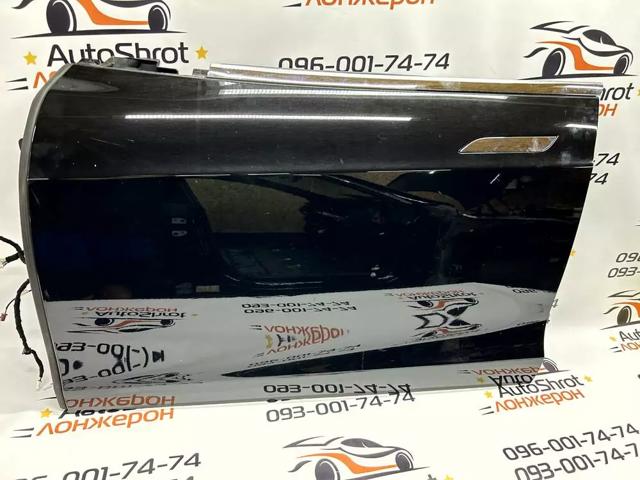 Водійські двері 6006662E0H TESLA