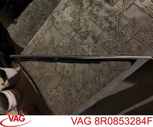 Молдинг опускного скла дверей передньої, правої 8R0853284F VAG