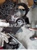 Кожух / кришка / захист ременя ГРМ 03L109145B VAG