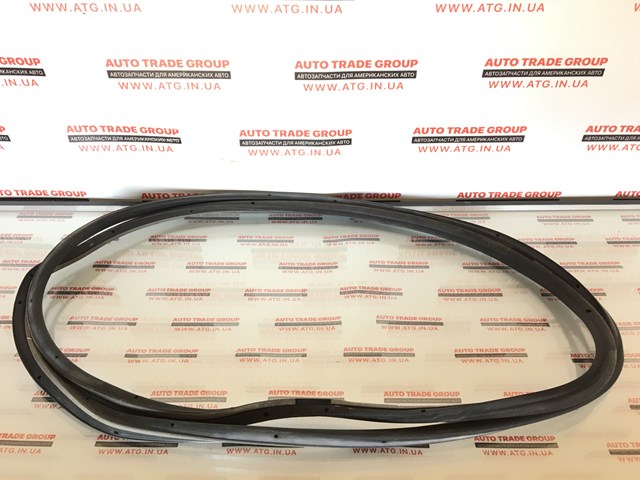 Ущільнювач двері задньої правої (на двері) AM5Z58253A10B FORD