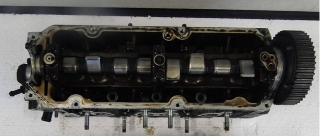 Головка циліндрів 55195018 FIAT