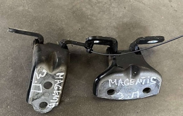 Петля задніх правих дверей 794202G000 HYUNDAI