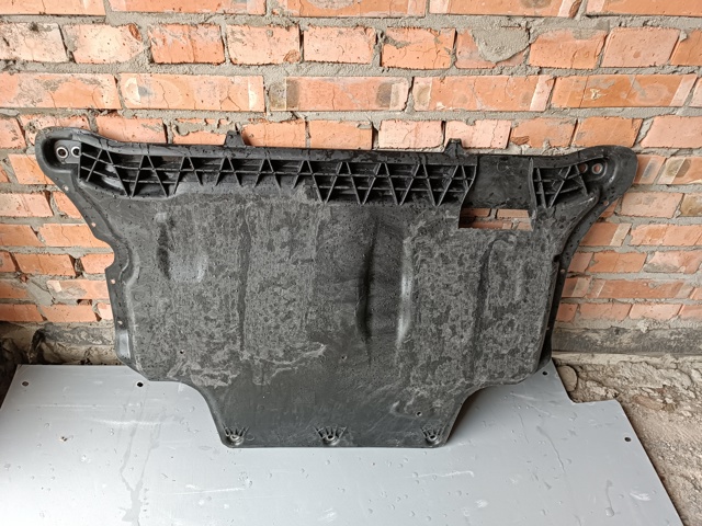 Захист моторного відсіку 3Q0825901B VAG