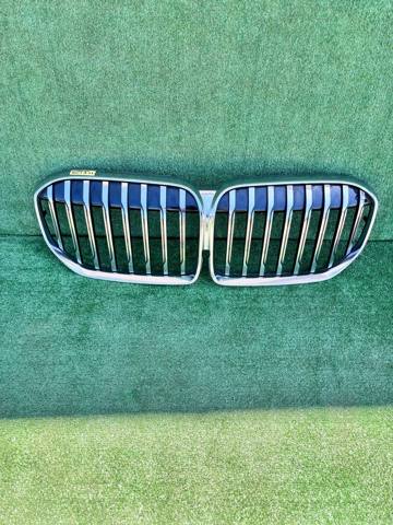 Облицювання радіатора 51138494817 BMW
