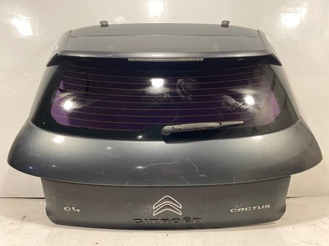 9800805380 Peugeot/Citroen