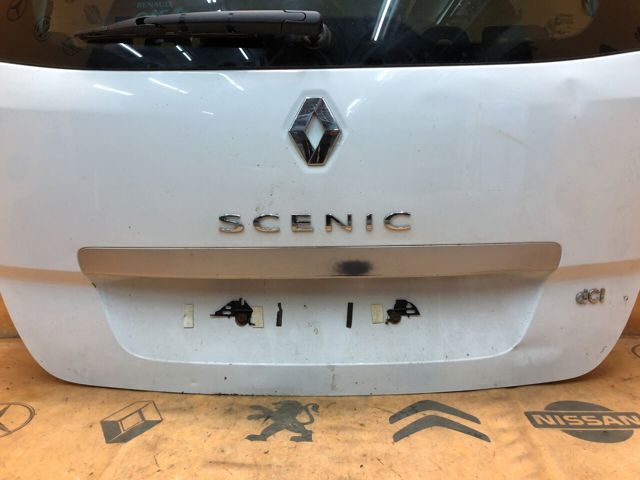 Двері багажника 901006104R RENAULT