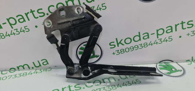 Завіса капота права 3C0823302E VAG