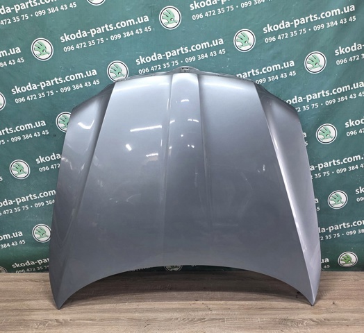 Капот 3T0823031 VAG
