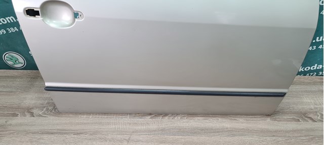 Пасажирські передні двері Skoda Fabia 1