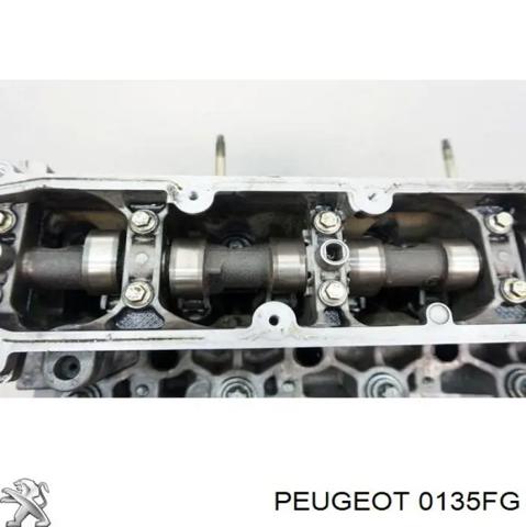 0135FG Peugeot/Citroen