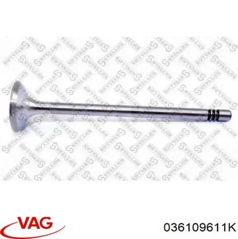 Випускний клапан двигуна 036109611K VAG