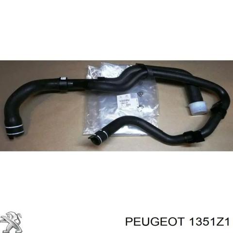 Шланг/патрубок радіатора охолодження, нижній 1351Z1 PEUGEOT