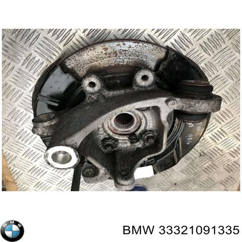 33321091335 BMW цапфа - поворотний кулак задній, лівий - купити