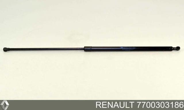 Амортизатор двері задньої 7700303186 RENAULT