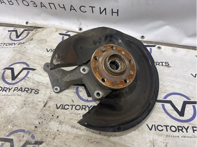 Цапфа поворотного кулака 3C0505434G VAG
