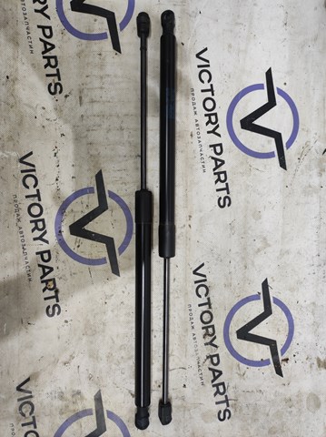 Амортизатор задньої ляди 5GM827550A VAG